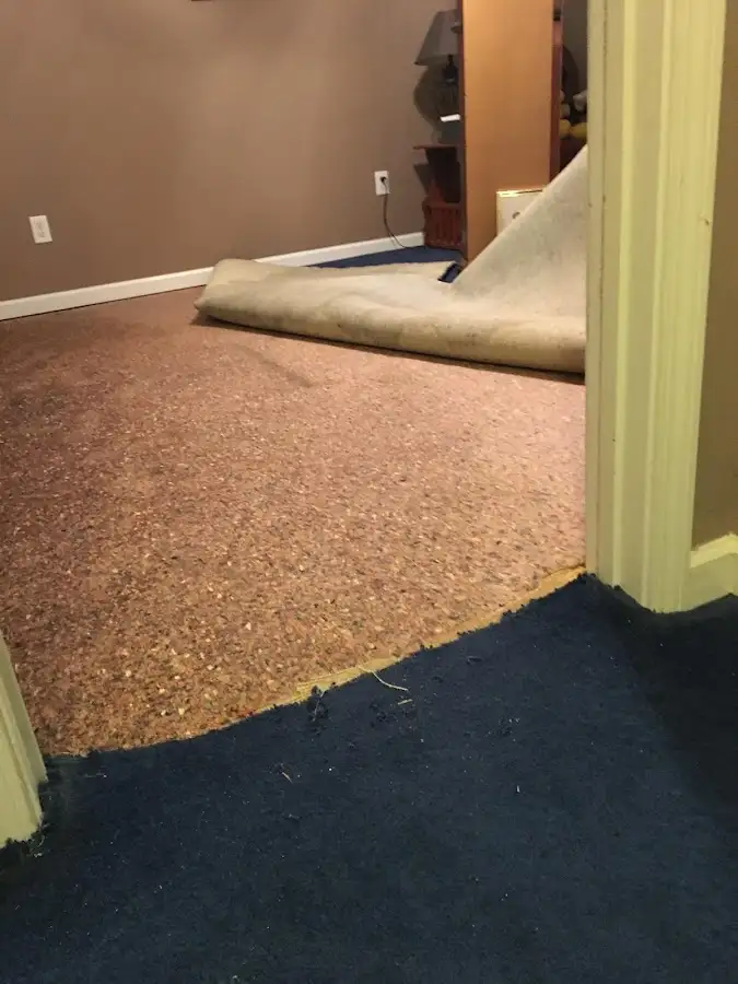 Carpet pad removal revealing water damage during Drying & Dehumidification in Quantico Base